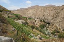 Waterfall Hike & Hot springs (PRIVATE TOUR)