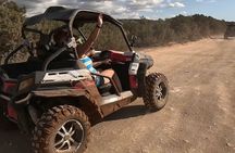 Private Tour via Quad & Buggy Safari A to Paphos