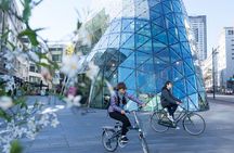 Eindhoven: Guided bicycle tour of the Highlights of Eindhoven