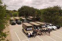 Full Day Kruger National Park Tour