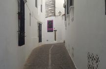 Excursion to Sierra de Cádiz White Villages