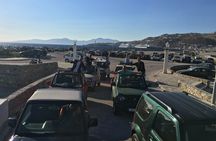Mykonos Safari Island Tour - According To The Locals