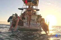 Sunset Cruise along Waikiki Coastline