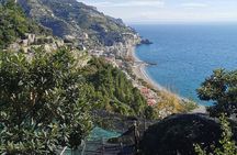 Private tour with tasting at the Sentiero dei Limoni