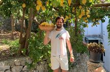 Private tour with tasting at the Sentiero dei Limoni