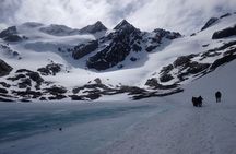 Trekking Vinciguerra Glacier and Laguna de los Témpanos