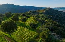 Epic Zipline Tour near Santa Barbara