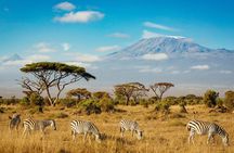 2 Days Luxury Safari Tour in Tarangire & Ngorongoro
