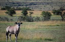 Private Day Trip to Arusha National Park