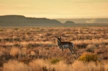 3 Days Ngorongoro Safari
