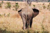 3 Days Ngorongoro Safari