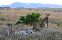 3 Days Midrange Safari At Serengeti and Ngorongoro