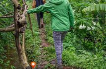 Materuni Village and Waterfalls Full Day Tour with Pickup