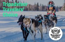 Chena River Mush Dream Vacation in Fairbanks
