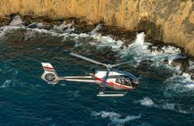 Coastal California Helicopter Tour from Long Beach