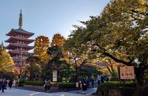 8-Hour Private Tour of Traditional Tokyo in Spanish