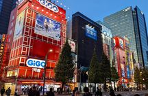 8-Hour Private Tour of Traditional Tokyo in Spanish