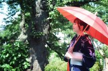Private Kimono Stroll in Toyama City Possibly with a Shiba Inu