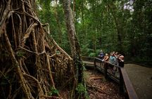 Barefoot Atherton Tablelands Adventure by Cairns Waterfalls