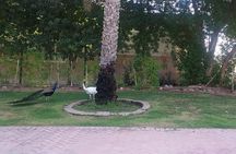 Bird Watching Tour Dubai