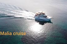Snorkeling Boat Trip with Motor Yacht