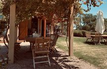 Wine Tasting and Lunch Private Tour in McLaren Vale