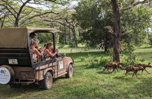 From Zanzibar: Selous Game Reserve Day Safari with Flights