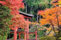 Guided Mount Fuji Private Tour GREEN NUMBER PLATES
