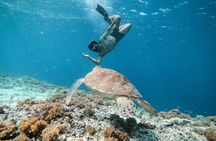 Private Snorkeling Gili Island Including GoPro Camera