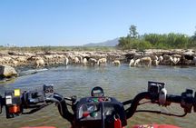 Quad Bikes for Guided Tours.