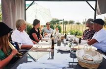 Olive oil tasting with seminar in Metagitsi - Halkidiki