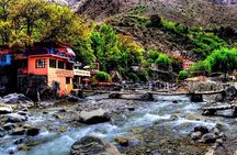 Full Day Private Berbere Experience in High Atlas