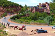 Full Day Private Berbere Experience in High Atlas