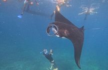 Nusa Penida Special Trip Snorkeling with Manta Rays and Land Tour