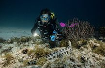 Full Day Private Scuba Diving in Espiritu Santo Island