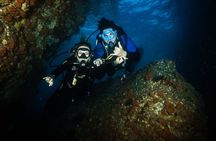 Full Day Private Scuba Diving in Espiritu Santo Island
