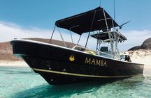 Full Day Private Scuba Diving in Espiritu Santo Island