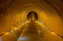 From Auckland: Waitomo Caves and Kiwi House Small Group Tour