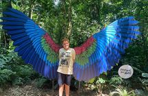 Tour 1 day: Brazilian Falls and Bird Park
