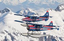 Peak Season Bear Viewing By Seaplane