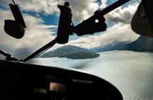 Peak Season Bear Viewing By Seaplane