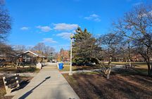 Private Wicker Park and Bucktown Walking Tour