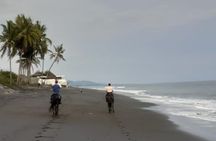 From Ubud 1 Hour Horse Riding at The Beach Experiences