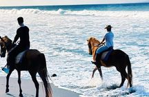 From Ubud 1 Hour Horse Riding at The Beach Experiences