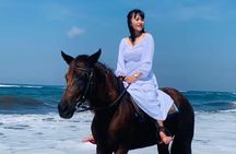 From Ubud 1 Hour Horse Riding at The Beach Experiences