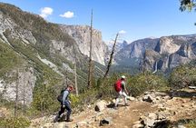 Waterfalls of Yosemite - Customizable Private Tour