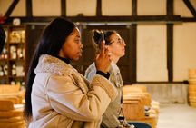 Hiroshima Saijo Sake Tasting Tour with visit to 7 Breweries