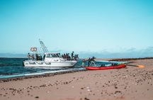 Mola Mola Kayaking Combo with Beach Braai