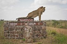 Nairobi National Park and Giraffe Center day Tour
