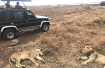 Nairobi National Park and Giraffe Center day Tour